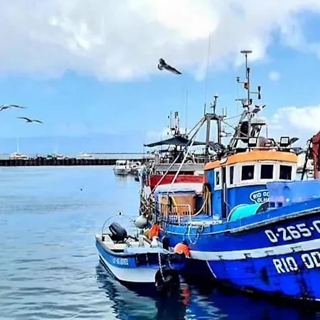 Floripes Stylish Olhao
